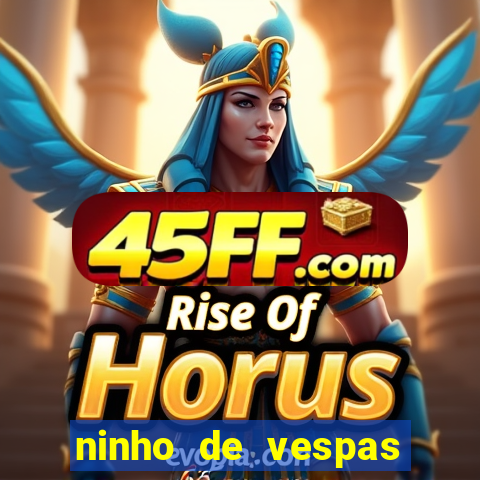 ninho de vespas significado espiritual